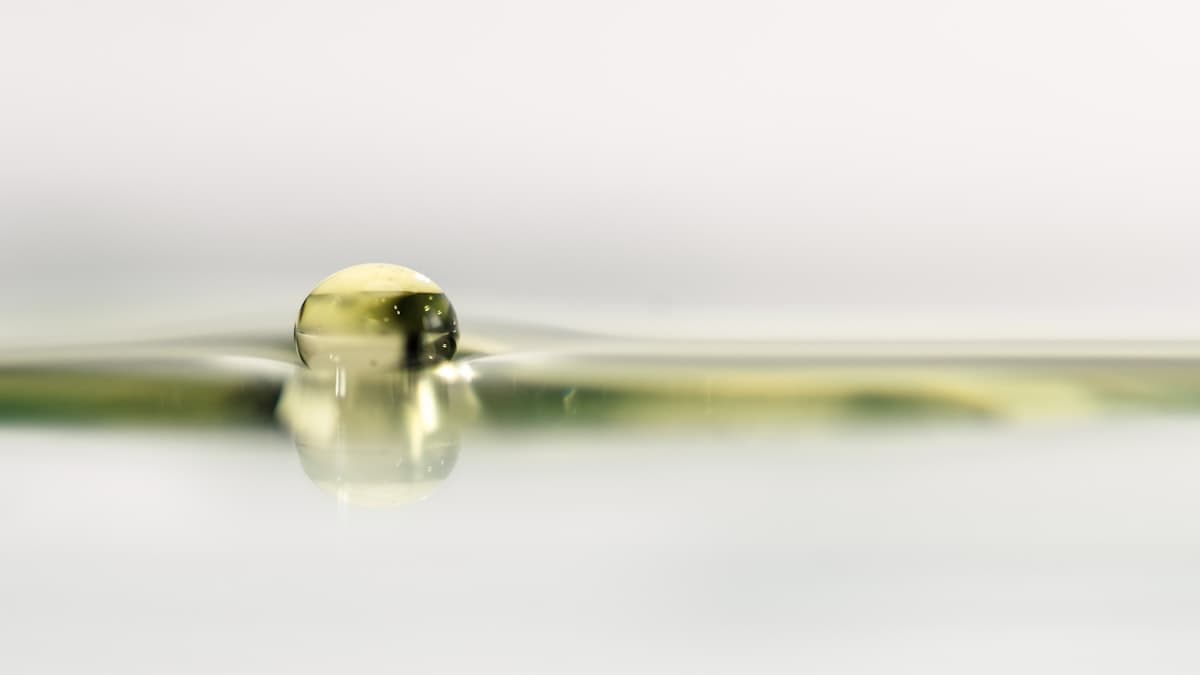Fat-Soluble Vitamins Need Fat: Where Olive Oil Fits In