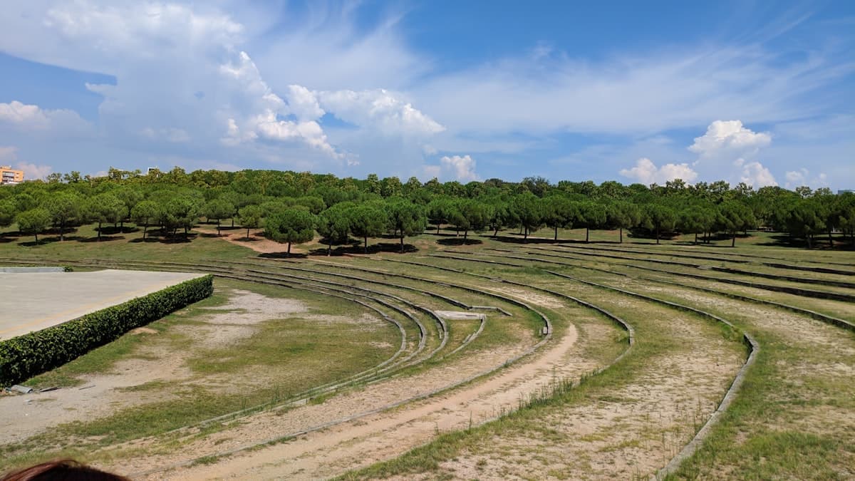Spain by the Numbers: Varieties, Regions, and the Scale Behind the World's Largest Olive Oil Producer