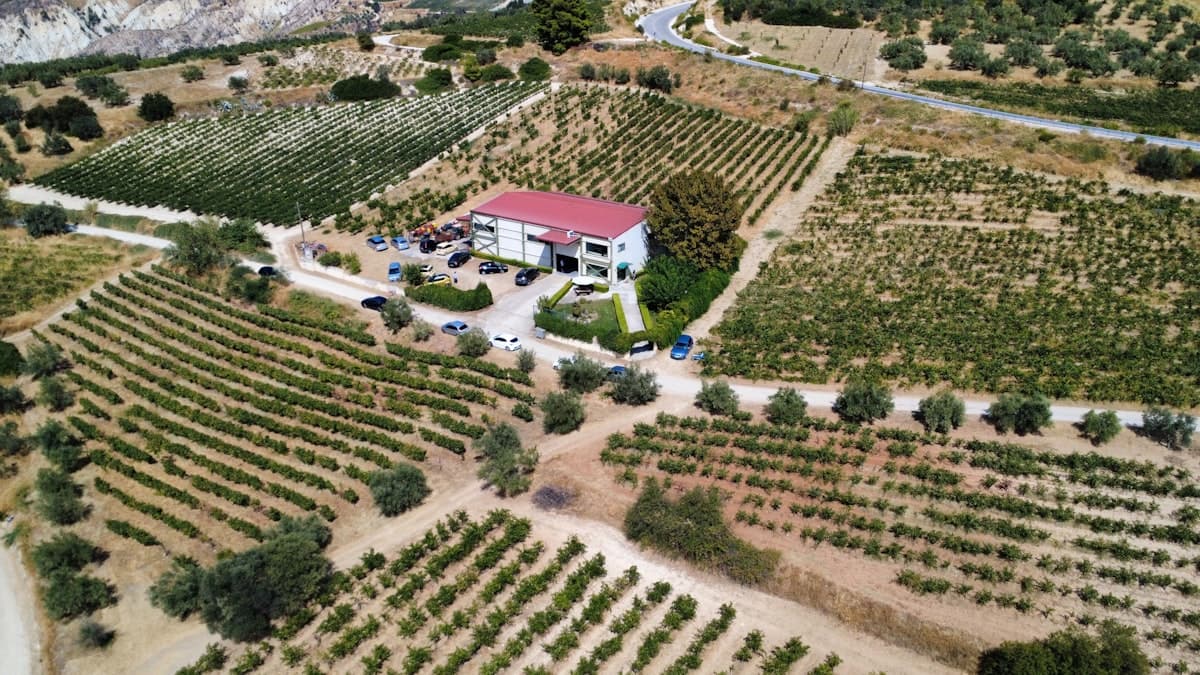 프루티·비터·펀전트, EVOO 관능평가 3대 용어 풀이