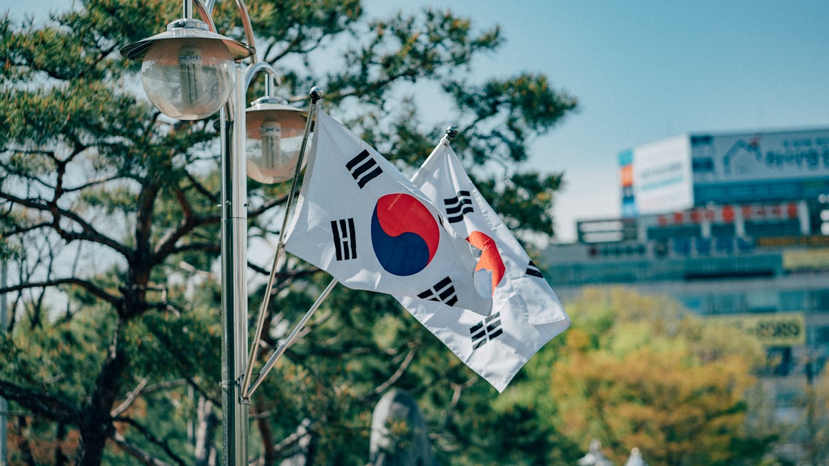 비빔밥 위에 올리브오일을 두르는 장면